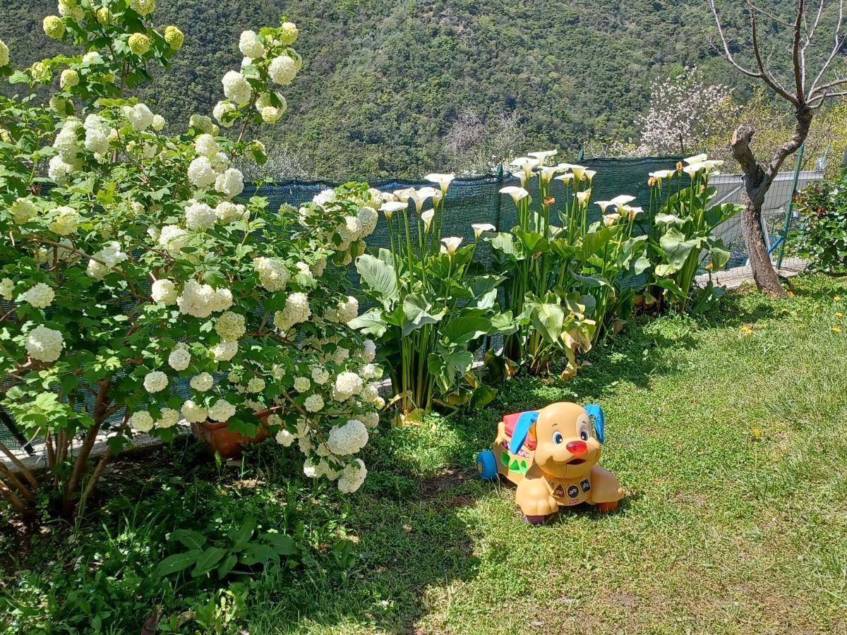Casa Canepa Villa Sori Luaran gambar